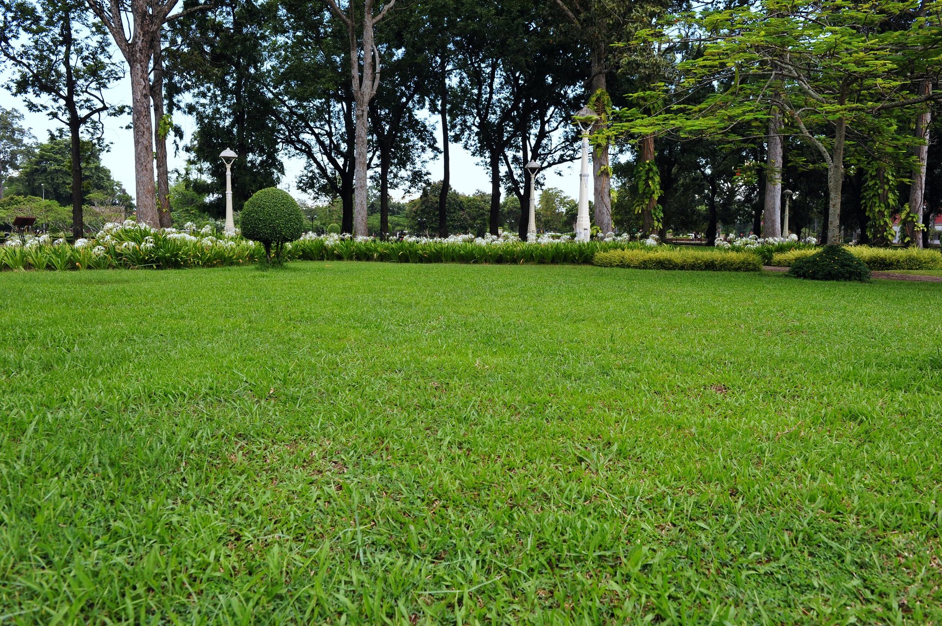 Beautiful manicured lawn