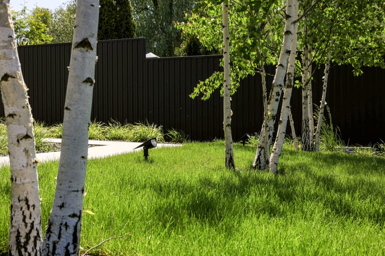 Landscape design with patio