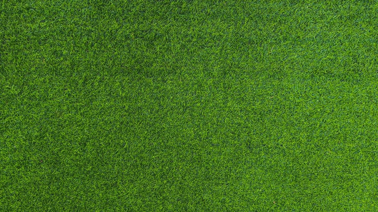 Green grass background garden